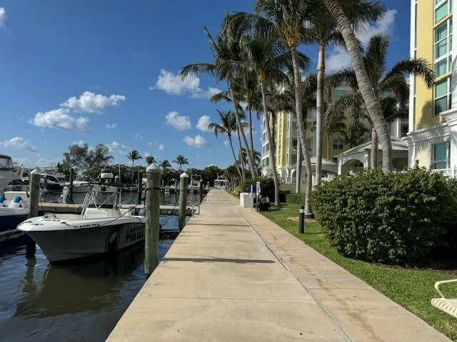 a park with lots of palm trees