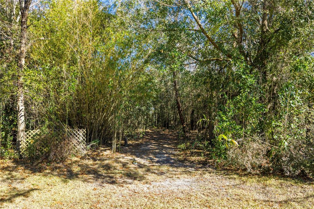 5336 Southwest 109th Place Road Ocala, FL 34476 - Photo 38 of 56