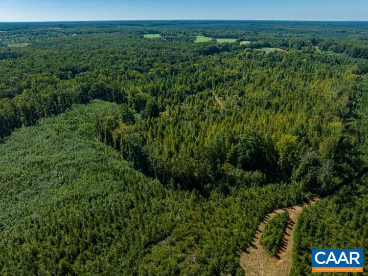0 Tabscott Road Kents Store, VA 23084 - Photo 11 of 14 a view of a lush green forest with lots of trees