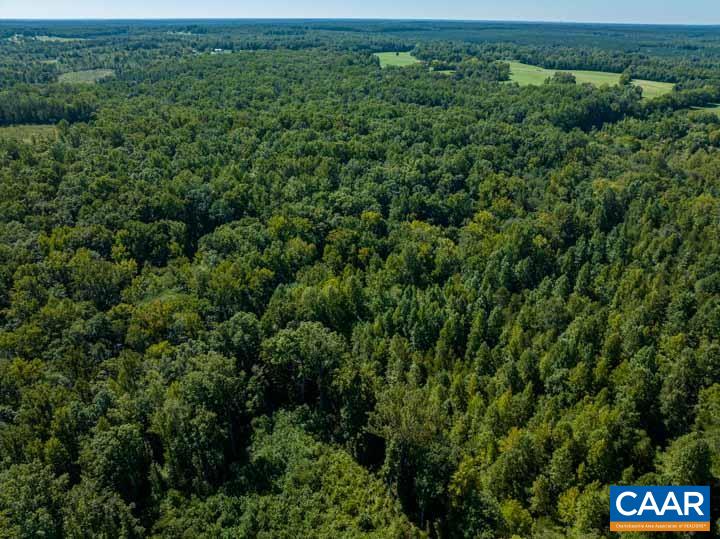 0 Tabscott Road Kents Store, VA 23084 - Photo 13 of 14 an aerial view of a forest with houses
