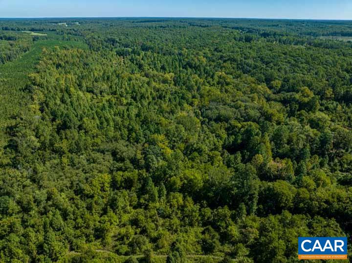 0 Tabscott Road Kents Store, VA 23084 - Photo 14 of 14 a view of a lush green forest with lots of trees