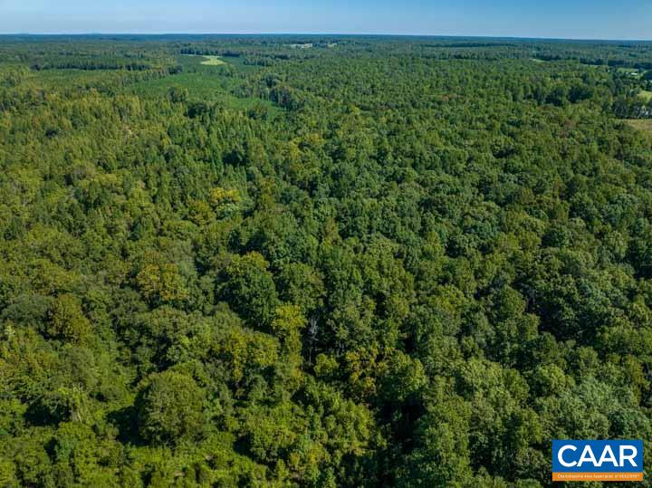 0 Tabscott Road Kents Store, VA 23084 - Photo 8 of 14 a view of a lush green forest with lots of trees