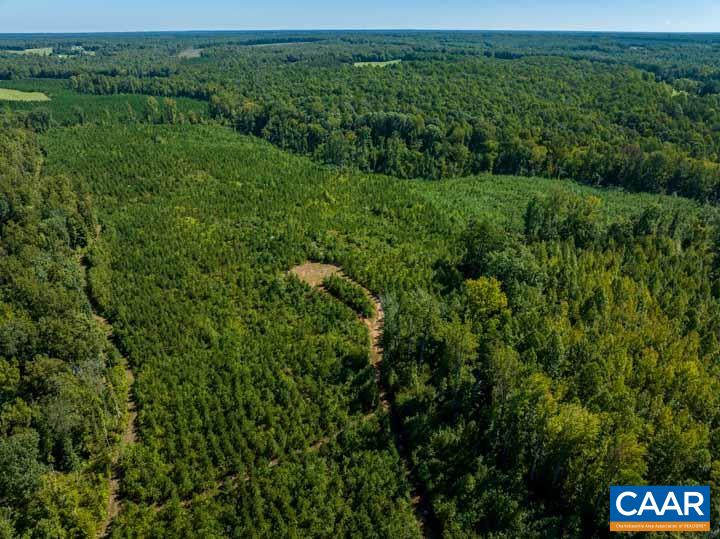 0 Tabscott Road Kents Store, VA 23084 - Photo 10 of 14 a view of a lush green forest with lots of trees
