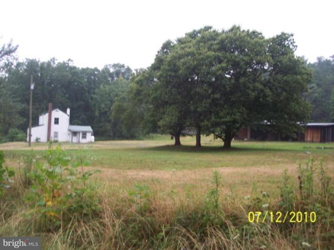 503 Millertown Road Edinburg, VA 22824 - Photo 17 of 18 Back yard