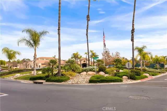 a view of a street with palm trees