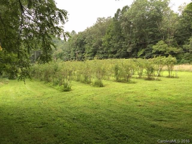 163 South Country Club Road Brevard, NC 28712 - Photo 3 of 3 Gallery Image 3