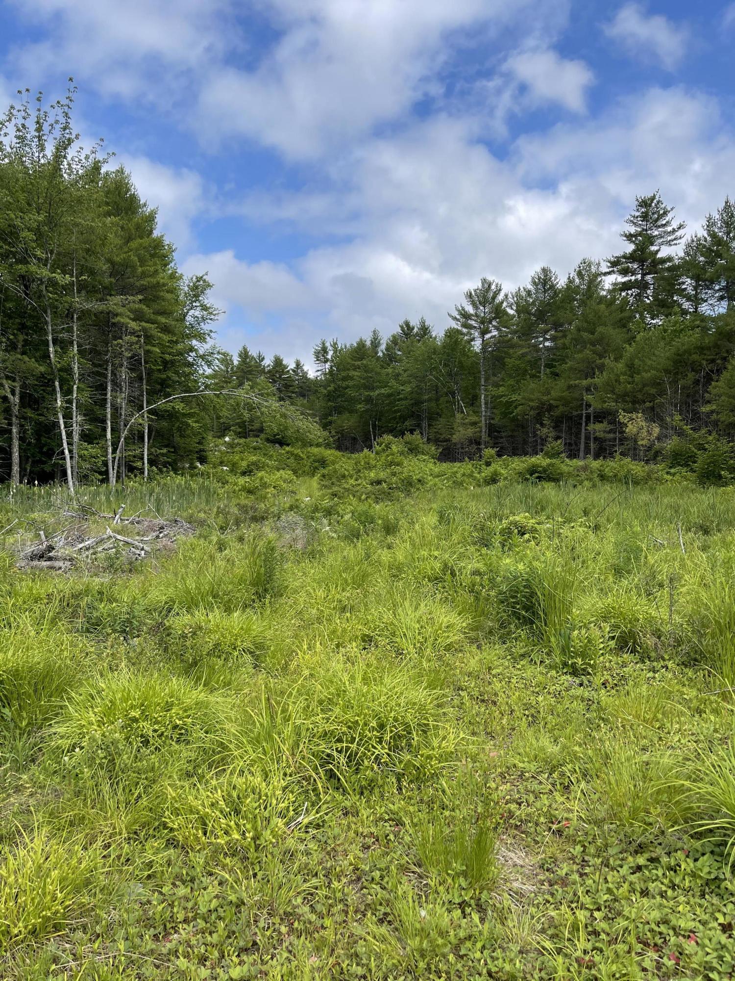 Lot 6-17 Natures Way Steep Falls, ME 04085 - Photo 11 of 20 IMG_1525