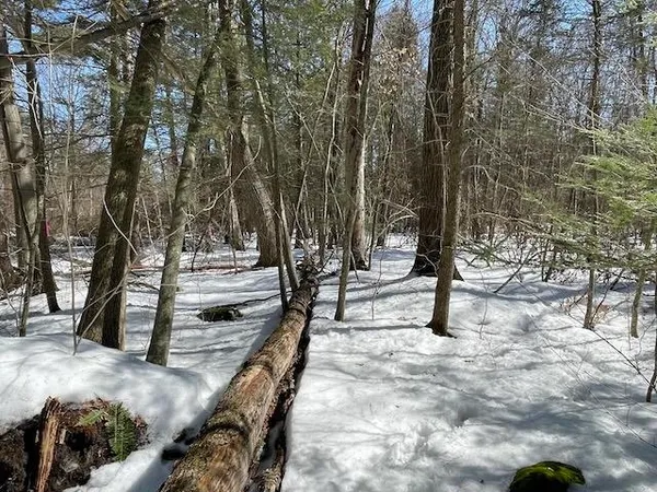 $35,000 | 123 Highway 5, Unit 3, Westminster, VT 05346