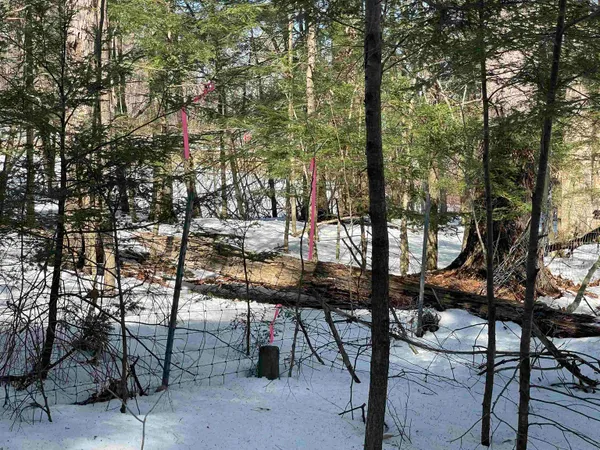 $35,000 | 123 Highway 5, Unit 3, Westminster, VT 05346