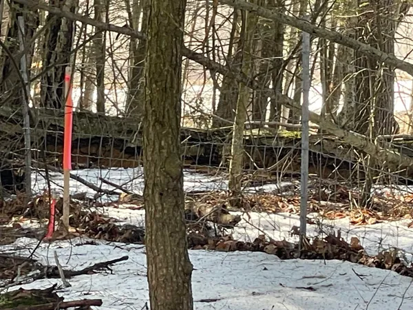 $35,000 | 123 Highway 5, Unit 3, Westminster, VT 05346