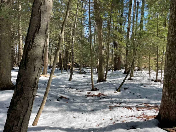 $35,000 | 123 Highway 5, Unit 3, Westminster, VT 05346