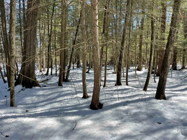 $35,000 | 123 Highway 5, Unit 3, Westminster, VT 05346