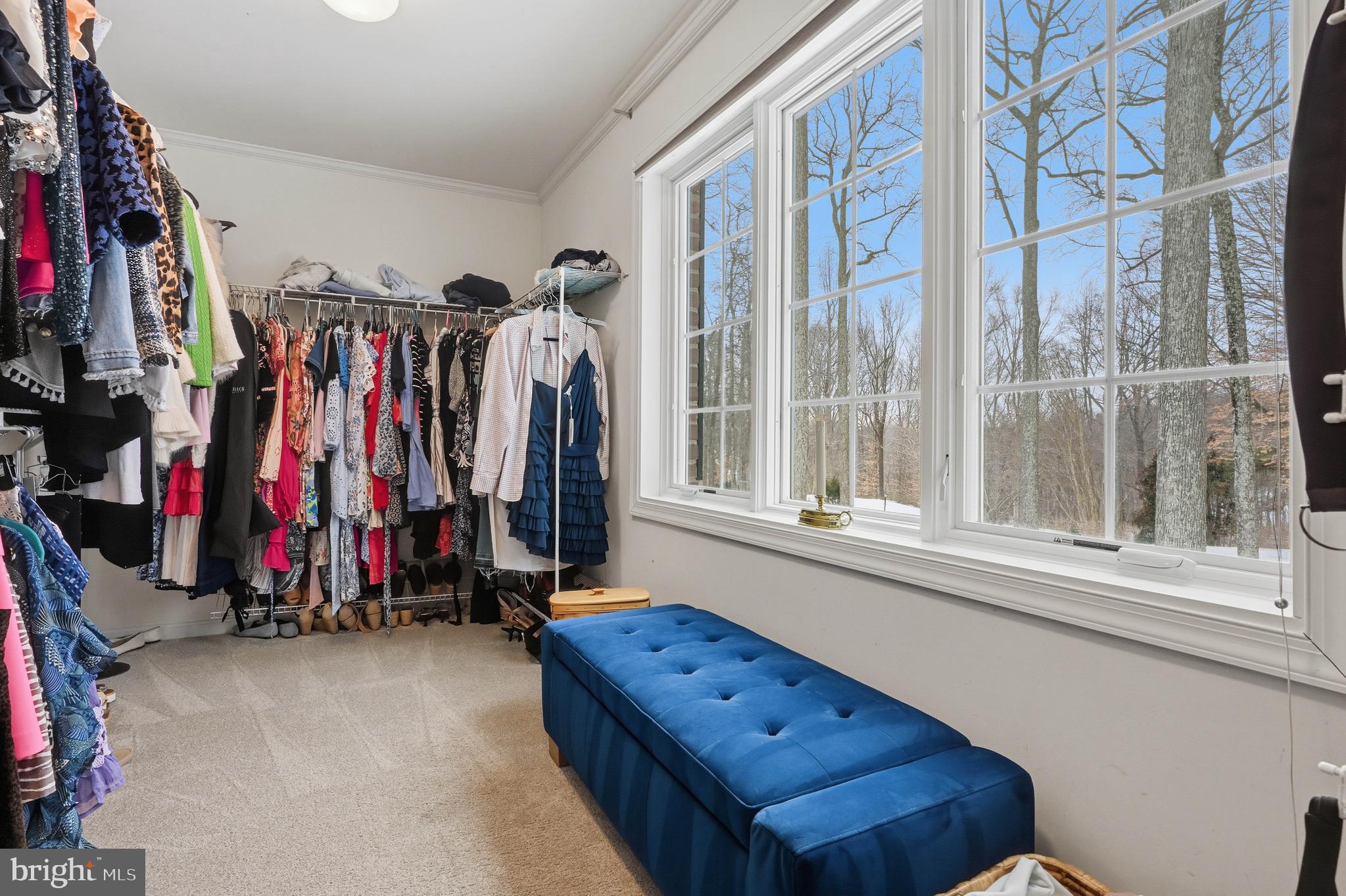 982 Wayson Way Davidsonville, MD 21035 - Photo 45 of 70 Primary Closet