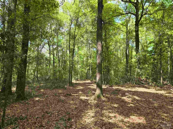 $124,780 | 1131 Wolf Log Road, Flomaton, AL 36441