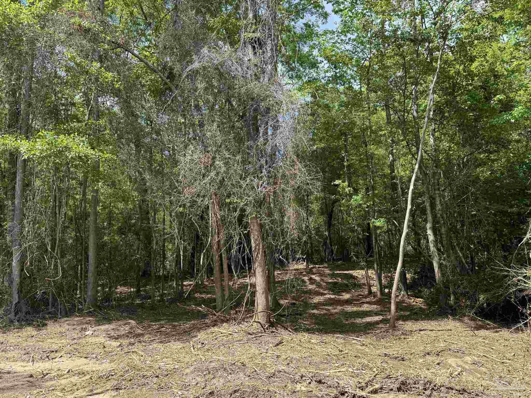 1131 Wolf Log Road Flomaton, AL 36441 - Photo 11 of 13