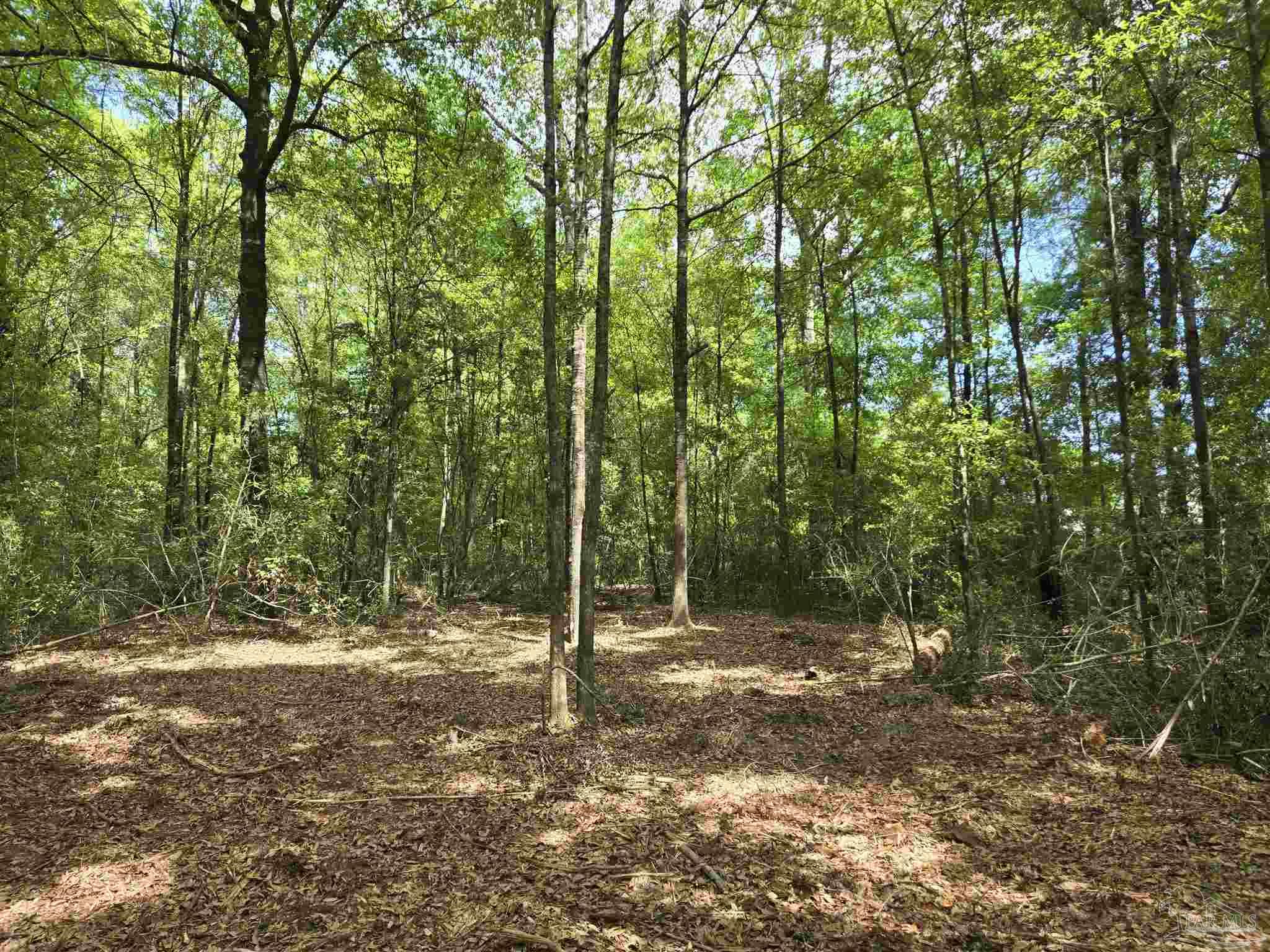 1131 Wolf Log Road Flomaton, AL 36441 - Photo 3 of 13