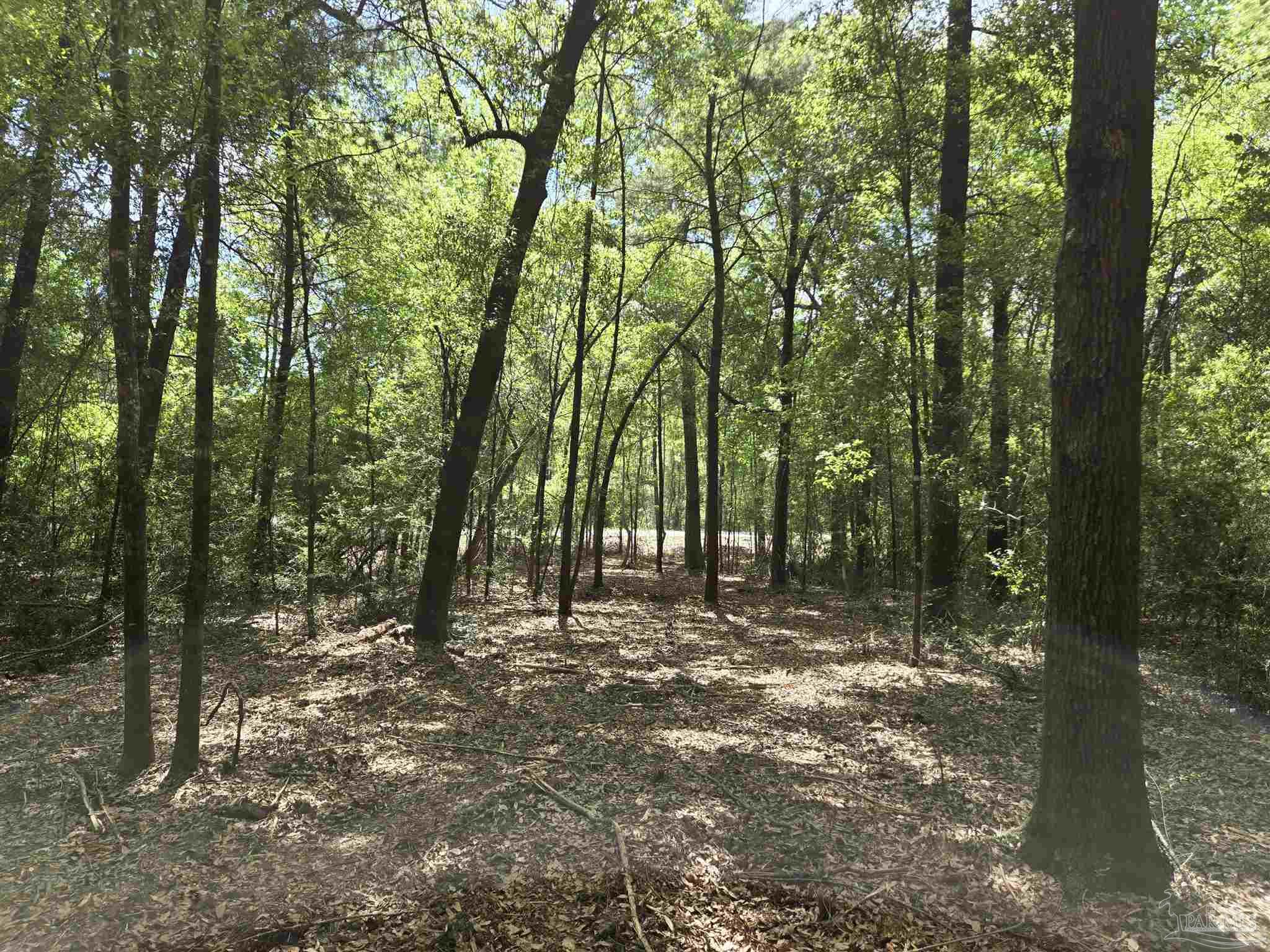 1131 Wolf Log Road Flomaton, AL 36441 - Photo 4 of 13