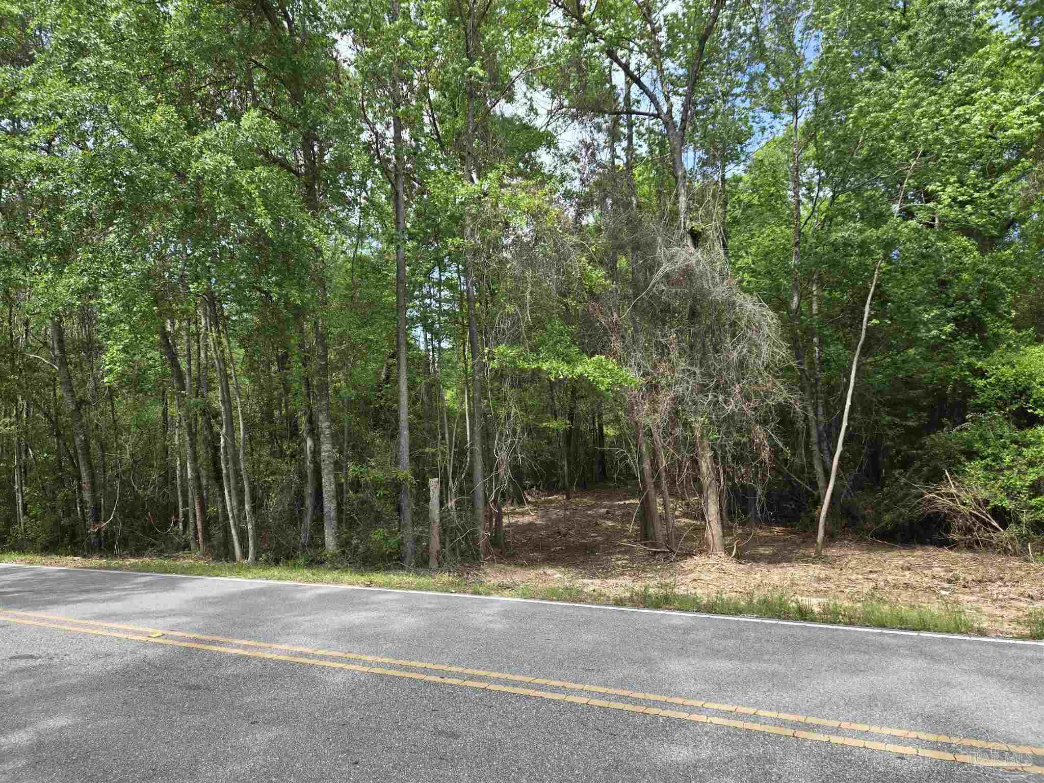 1131 Wolf Log Road Flomaton, AL 36441 - Photo 5 of 13