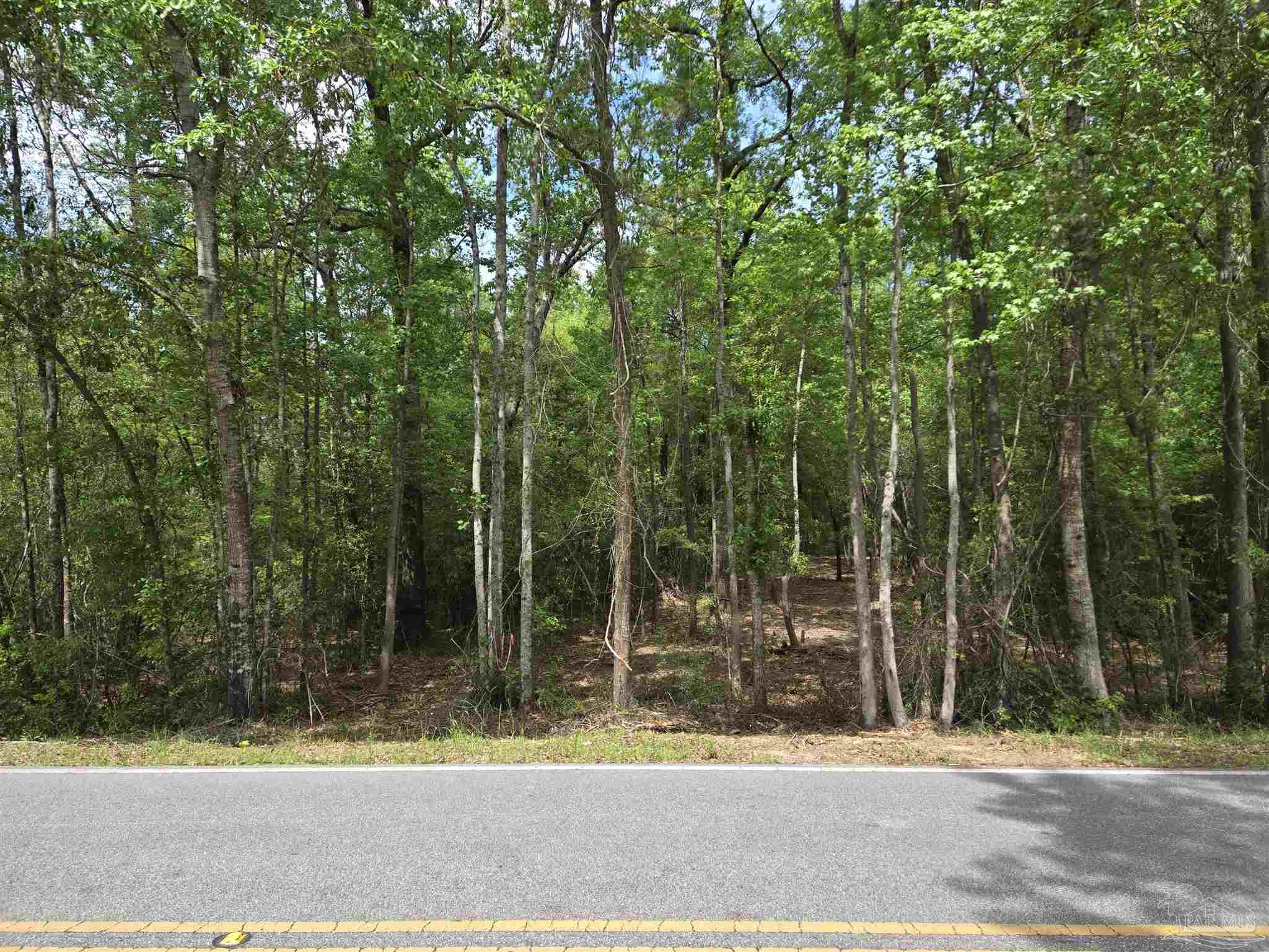 1131 Wolf Log Road Flomaton, AL 36441 - Photo 6 of 13