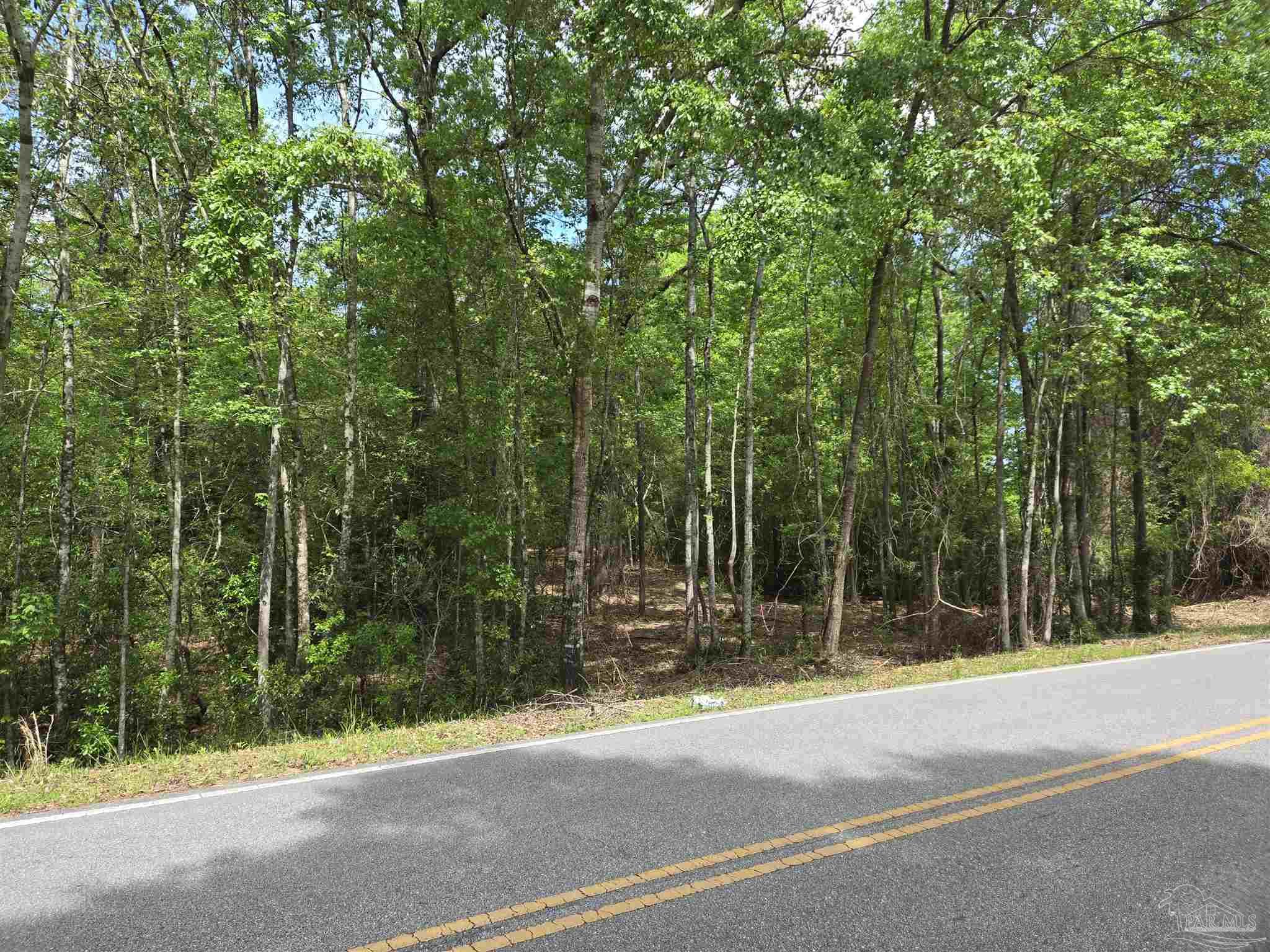 1131 Wolf Log Road Flomaton, AL 36441 - Photo 7 of 13