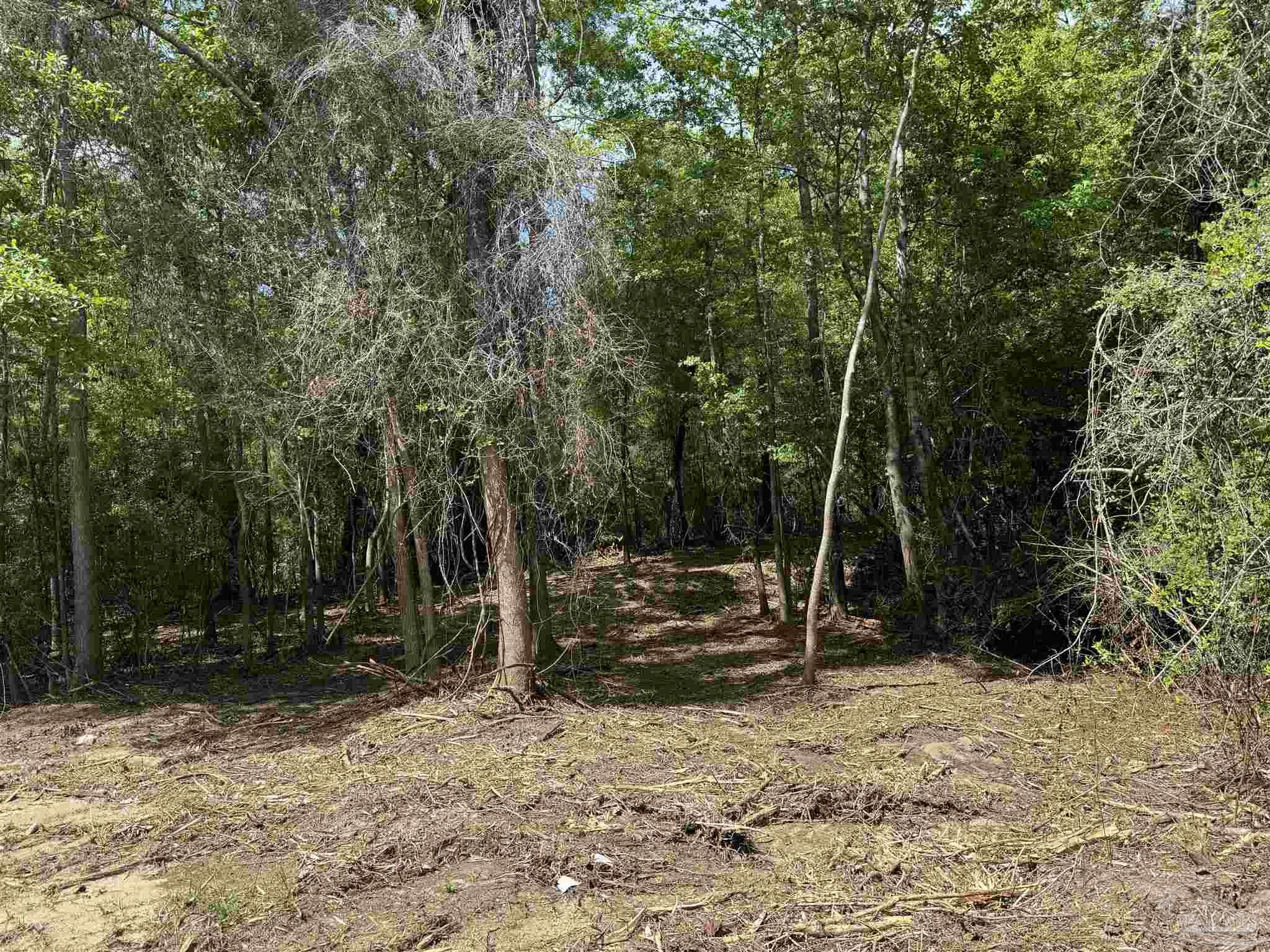 1131 Wolf Log Road Flomaton, AL 36441 - Photo 8 of 13