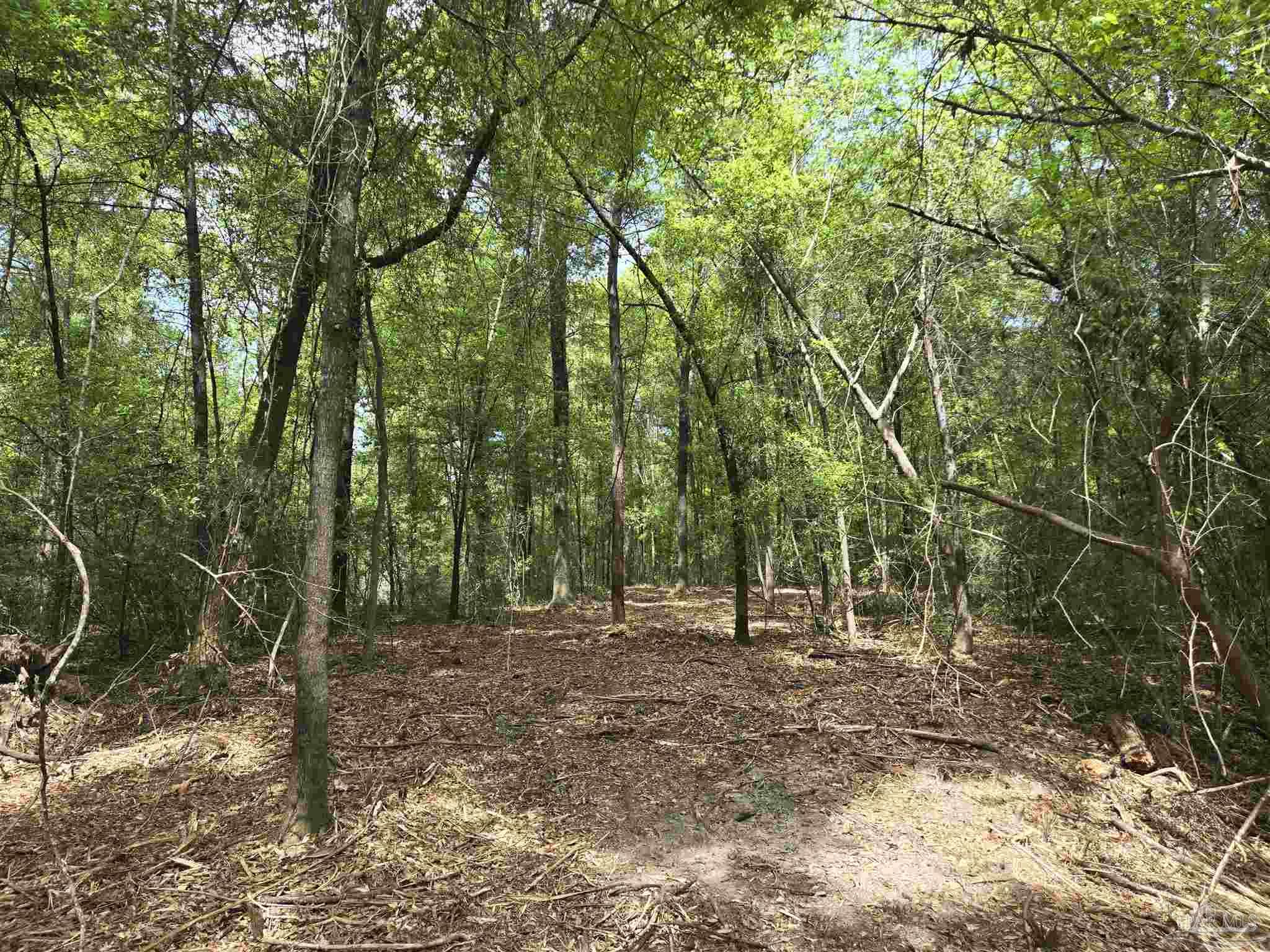1131 Wolf Log Road Flomaton, AL 36441 - Photo 9 of 13