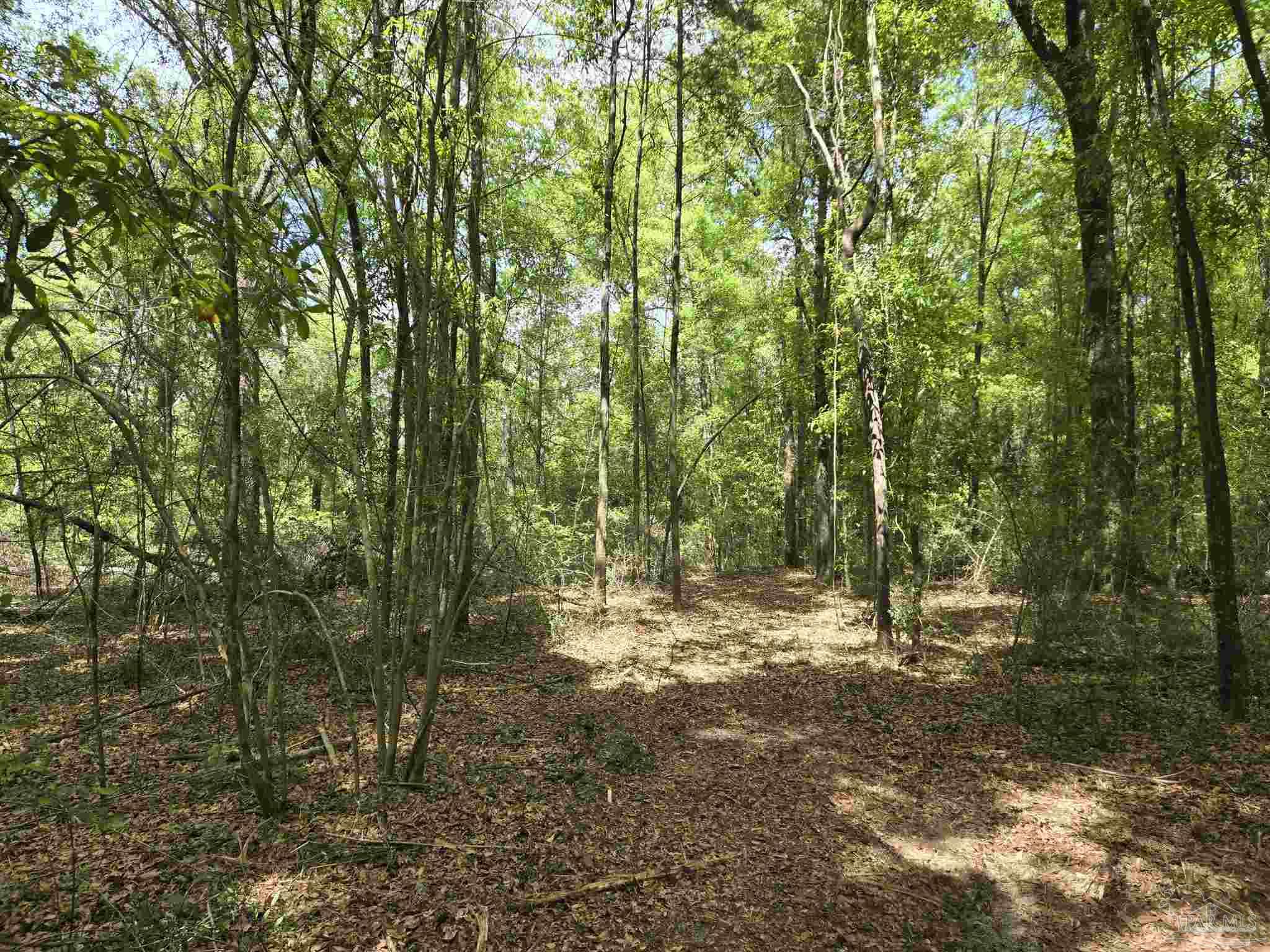 1131 Wolf Log Road Flomaton, AL 36441 - Photo 10 of 13