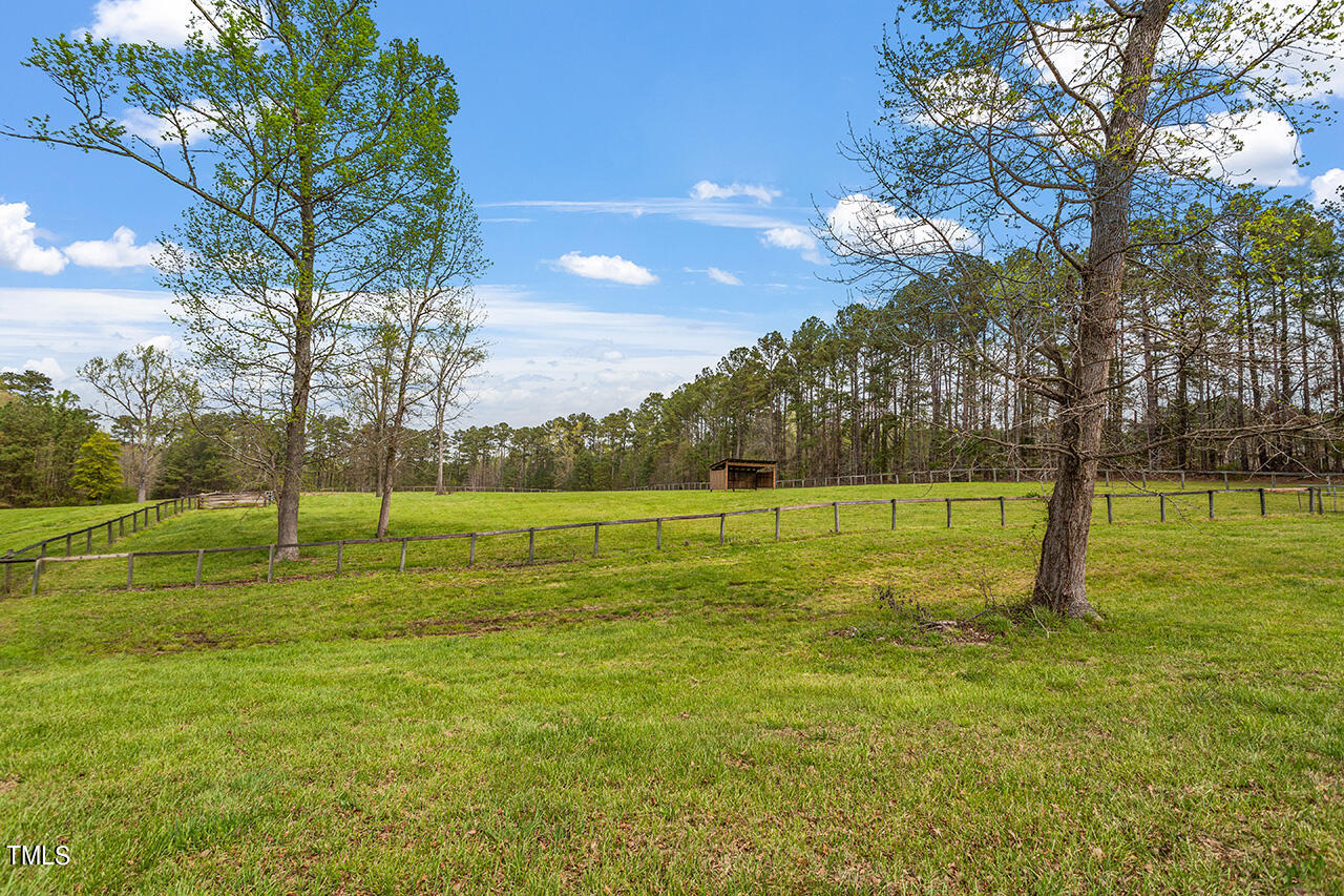 1906 Boyce Bridge Road Creedmoor, NC 27522 - Photo 9 of 39 1906 Boyce Bridge Road_22