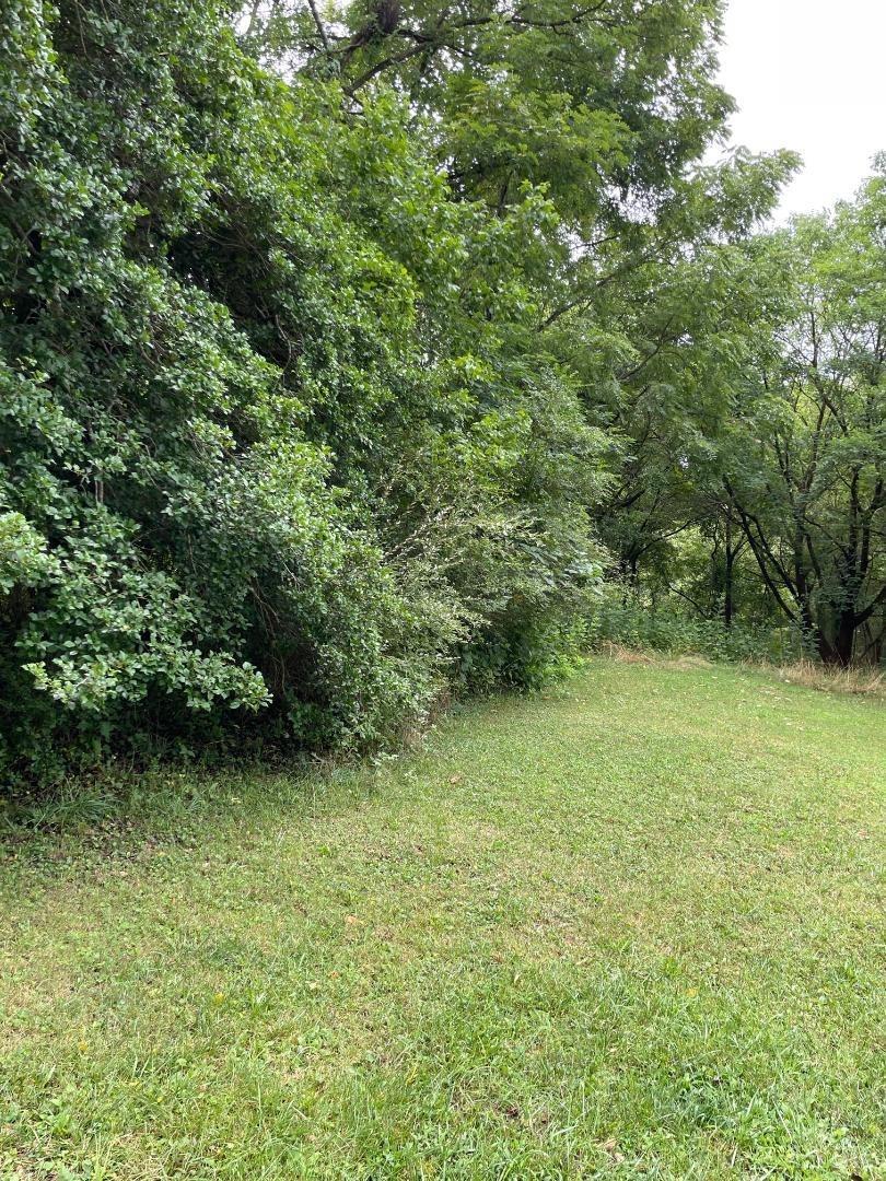 187 West Court Street Amherst, VA 24521 - Photo 2 of 8 a view of a green yard
