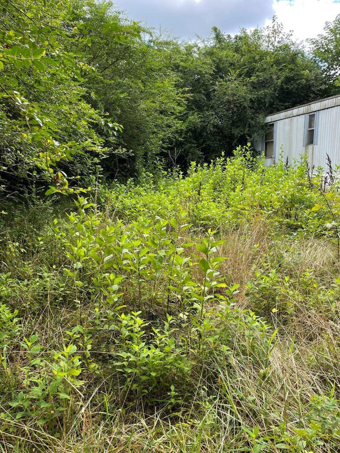 187 West Court Street Amherst, VA 24521 - Photo 4 of 8 a backyard of a house with lots of green space and garden
