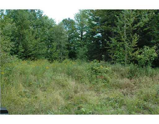 Lt R11-1 Lt R11-1 Arthur Allen Road Sumner, ME 04292 - Photo 1 of 5 Land/Lot.