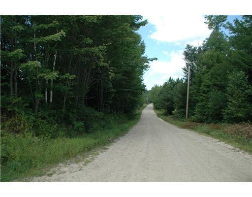 Lt R11-1 Lt R11-1 Arthur Allen Road Sumner, ME 04292 - Photo 2 of 5 Land/Lot.