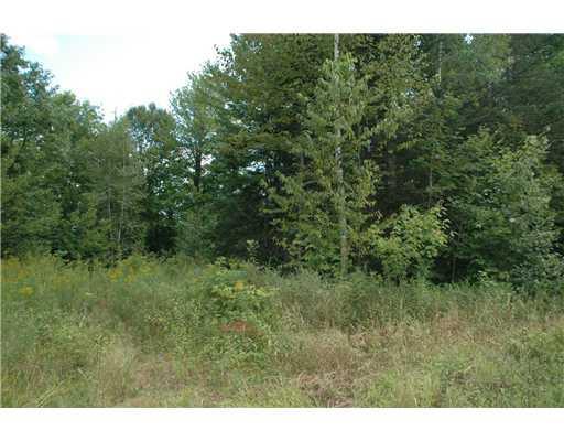 Lt R11-1 Lt R11-1 Arthur Allen Road Sumner, ME 04292 - Photo 4 of 5 Land/Lot.