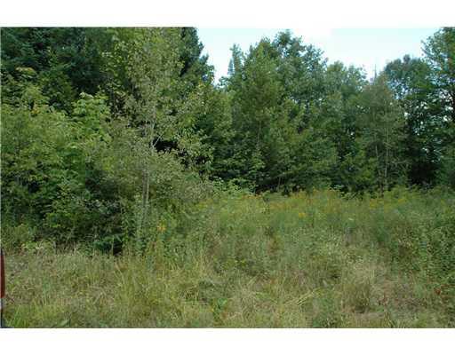 Lt R11-1 Lt R11-1 Arthur Allen Road Sumner, ME 04292 - Photo 5 of 5 Land/Lot.