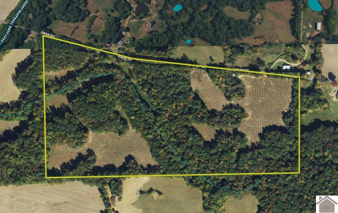 0 Swan Road Farmington, KY 42040 - Photo 1 of 1 Photo 1