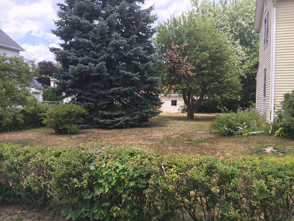 12 Frontenac Street Springfield, MA 01151 - Photo 3 of 9 a view of a yard with plants and trees