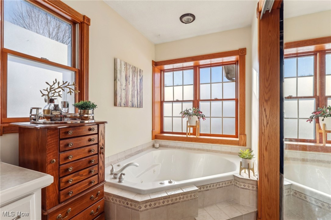 3353 Jens Way Perry, OH 44081 - Photo 45 of 49 Bathroom with vanity, plenty of natural light, and tiled bath