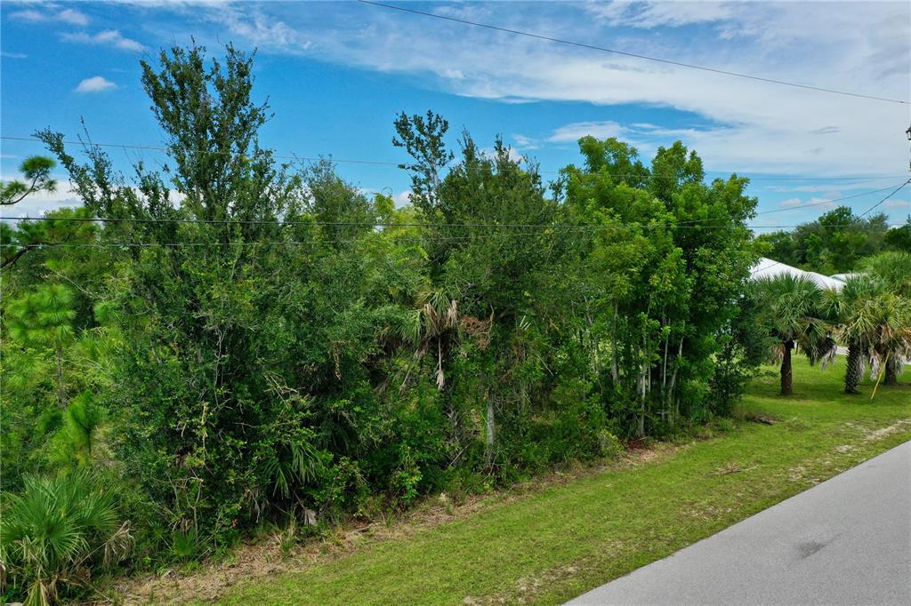 9150 Snapper Circle Port Charlotte, FL 33981 - Photo 3 of 27 a view of a yard with a tree