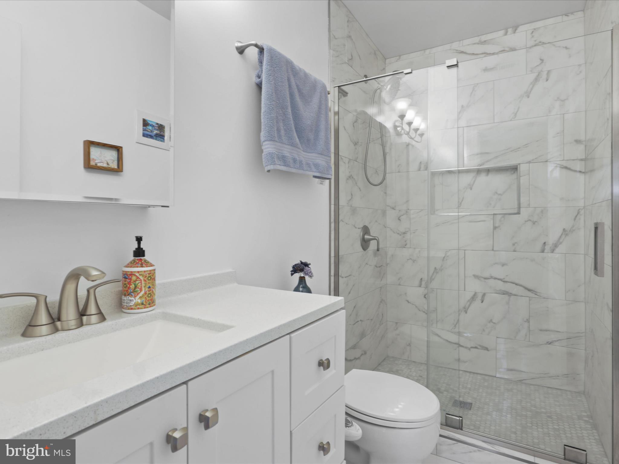 1813 Bay Street Southeast Washington, DC 20003 - Photo 19 of 26 Primary bathroom