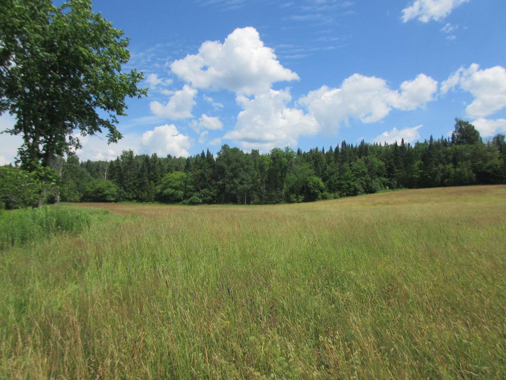 Lot 2 Buzzell Road Newport Center, VT 05857 - Photo 2 of 5 Gallery Image 2