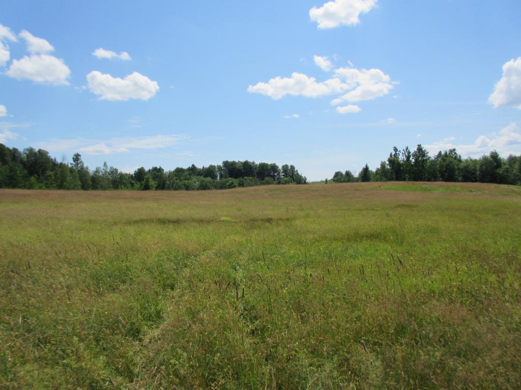 Lot 2 Buzzell Road Newport Center, VT 05857 - Photo 3 of 5 Gallery Image 3