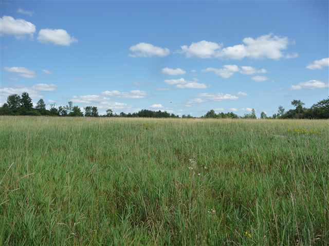0 White Road Sharon Springs, NY 13459 - Photo 1 of 1 Photo 1
