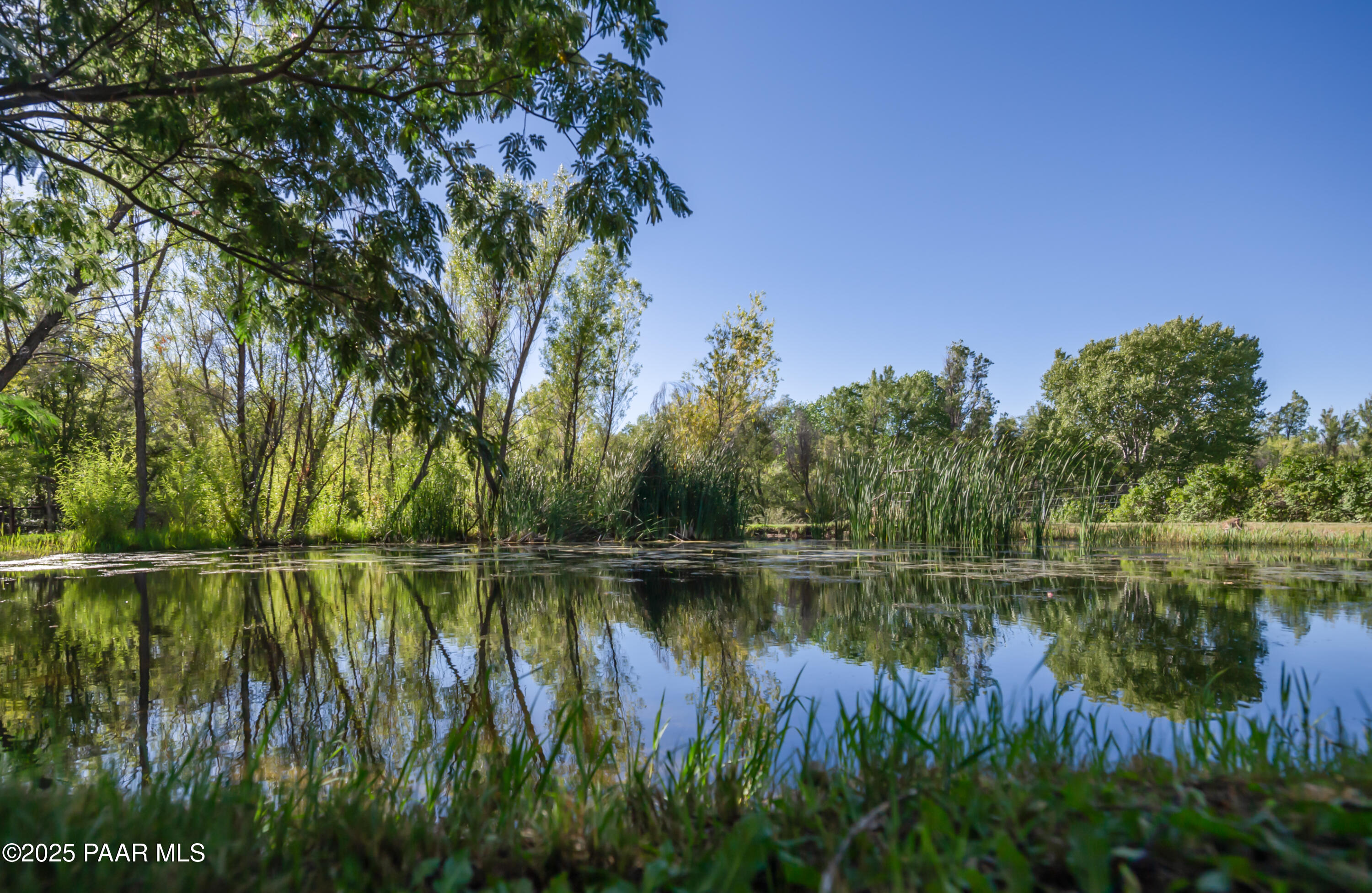 1320 Grisby Road Skull Valley, AZ 86338 - Photo 34 of 77 DSC_9497