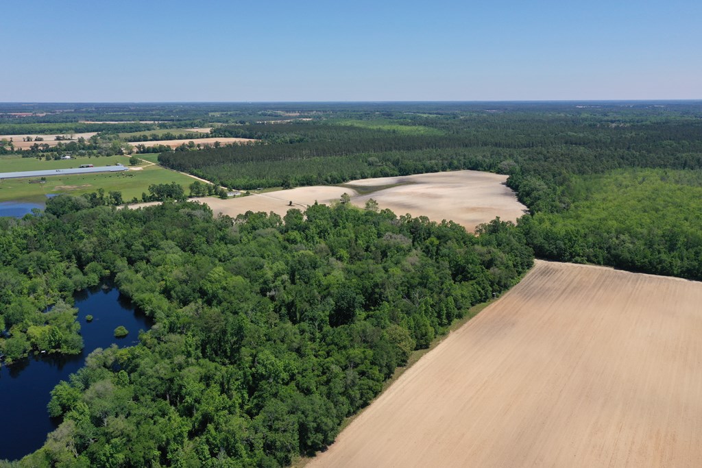 210-ac Jernigan Road Gordon, AL 36343 - Photo 33 of 36