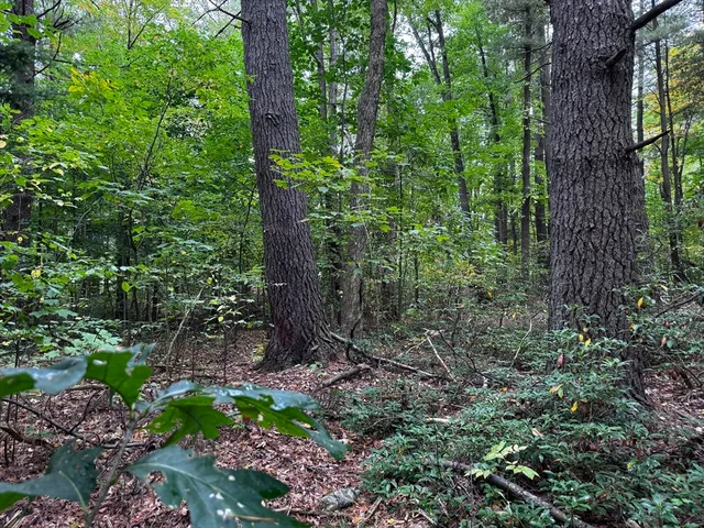 $105,000 | 63 Holman Street, Lunenburg, MA 01462