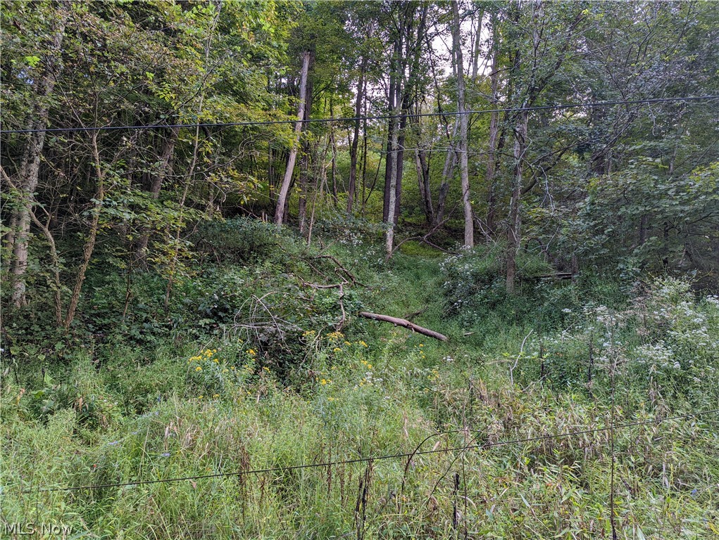 Wegee Road Shadyside, OH 43947 - Photo 11 of 16