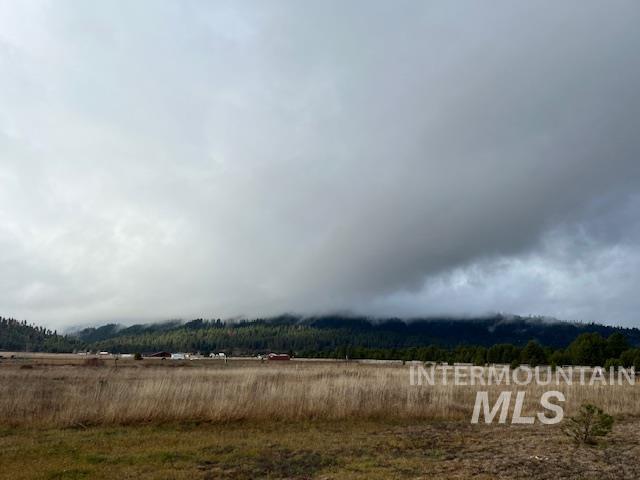 111 Sixty Lane Cascade, ID 83611 - Photo 39 of 50
