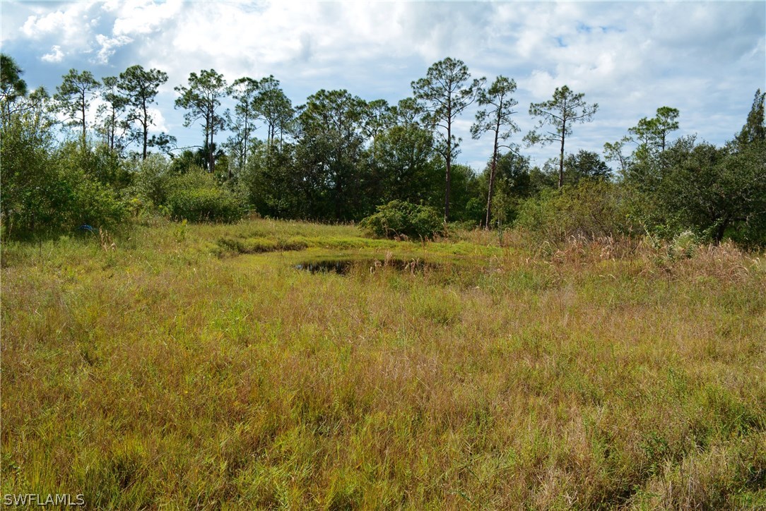 6810 Staley Farms Road Fort Myers, FL 33905 - Photo 5 of 22 Gallery Image 5