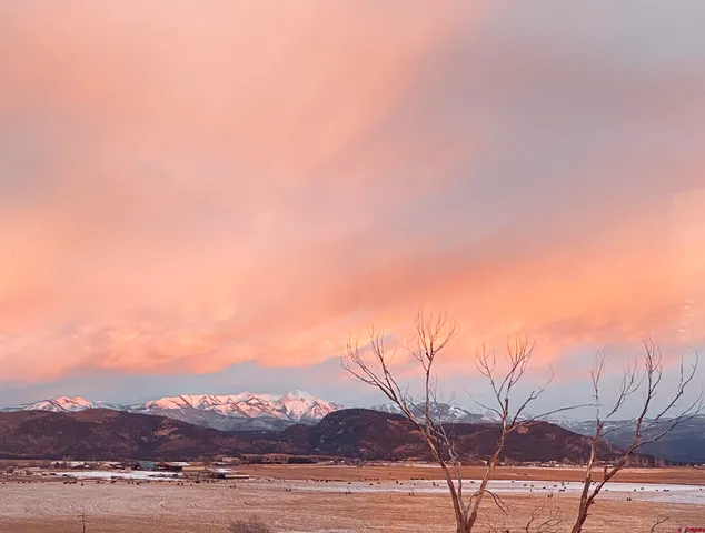 a view of an ocean and beach