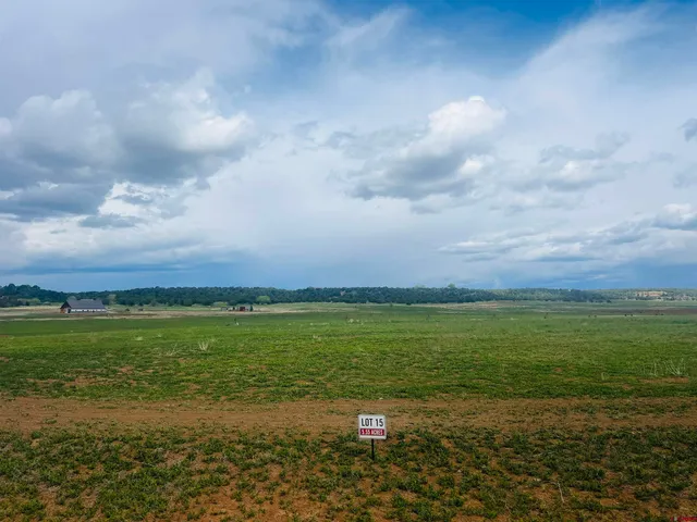 a view of a big yard with a large trees